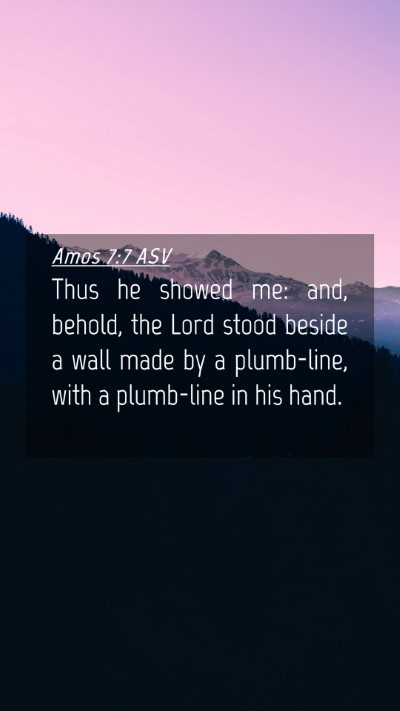 Picture 04 - Amos 7:7 ASV Mobile Phone Wallpaper - Thus he showed me: and, behold, the Lord stood - Mobile Bible Verse Wallpaper