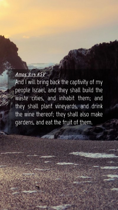 Picture 04 - Amos 9:14 ASV Mobile Phone Wallpaper - And I will bring back the captivity of my people - Mobile Bible Verse Wallpaper