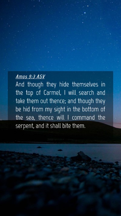 Picture 04 - Amos 9:3 ASV Mobile Phone Wallpaper - And though they hide themselves in the top of - Mobile Bible Verse Wallpaper