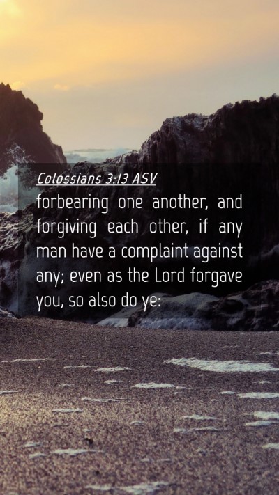 Picture 04 - Colossians 3:13 ASV Mobile Phone Wallpaper - forbearing one another, and forgiving each other, - Mobile Bible Verse Wallpaper