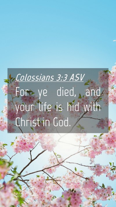 Picture 04 - Colossians 3:3 ASV Mobile Phone Wallpaper - For ye died, and your life is hid with Christ in - Mobile Bible Verse Wallpaper
