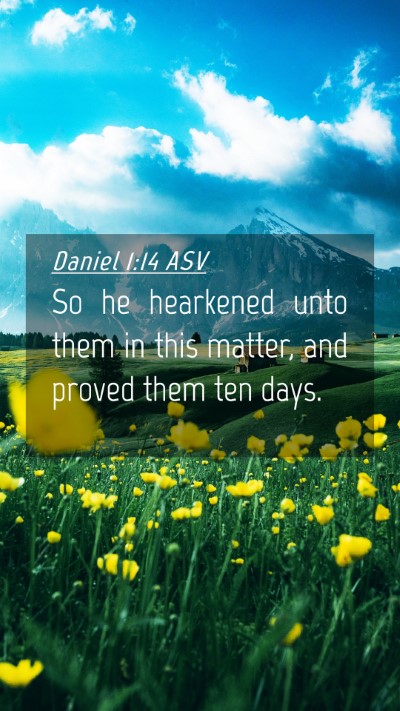 Picture 04 - Daniel 1:14 ASV Mobile Phone Wallpaper - So he hearkened unto them in this matter, and - Mobile Bible Verse Wallpaper