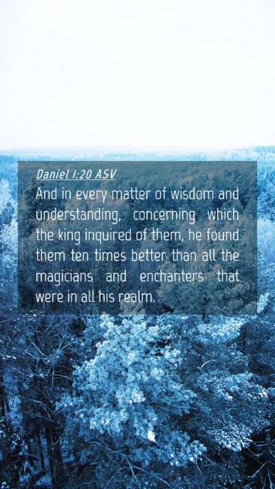 Picture 04 - Daniel 1:20 ASV Mobile Phone Wallpaper - And in every matter of wisdom and understanding, - Mobile Bible Verse Wallpaper