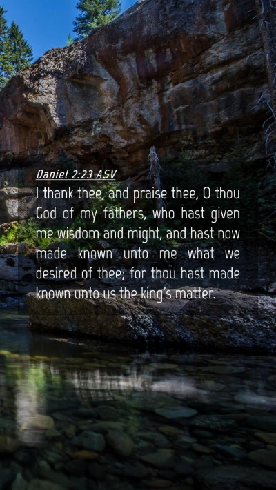 Picture 04 - Daniel 2:23 ASV Mobile Phone Wallpaper - I thank thee, and praise thee, O thou God of my - Mobile Bible Verse Wallpaper