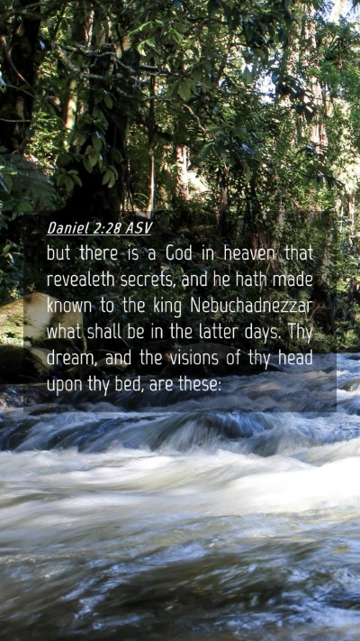 Picture 04 - Daniel 2:28 ASV Mobile Phone Wallpaper - but there is a God in heaven that revealeth - Mobile Bible Verse Wallpaper