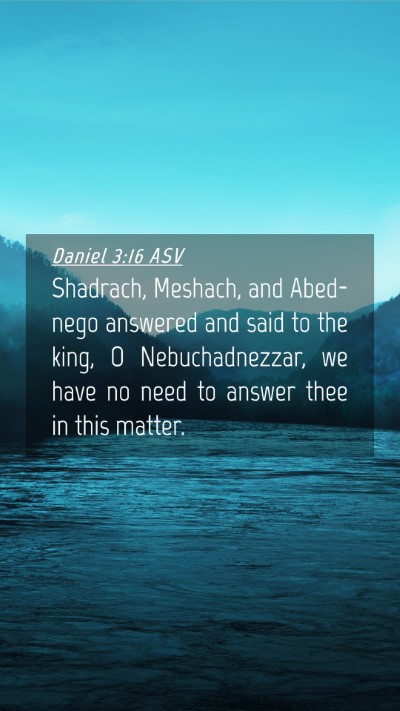 Picture 04 - Daniel 3:16 ASV Mobile Phone Wallpaper - Shadrach, Meshach, and Abed-nego answered and - Mobile Bible Verse Wallpaper