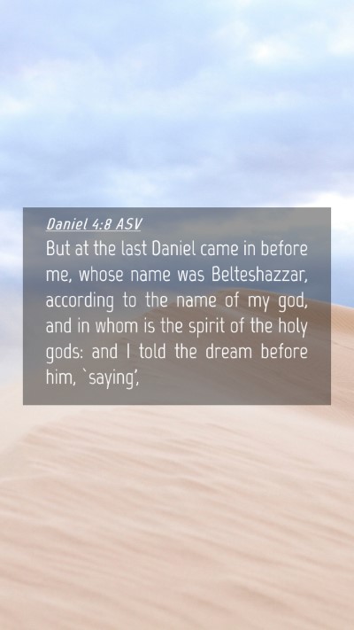 Picture 04 - Daniel 4:8 ASV Mobile Phone Wallpaper - But at the last Daniel came in before me, whose - Mobile Bible Verse Wallpaper
