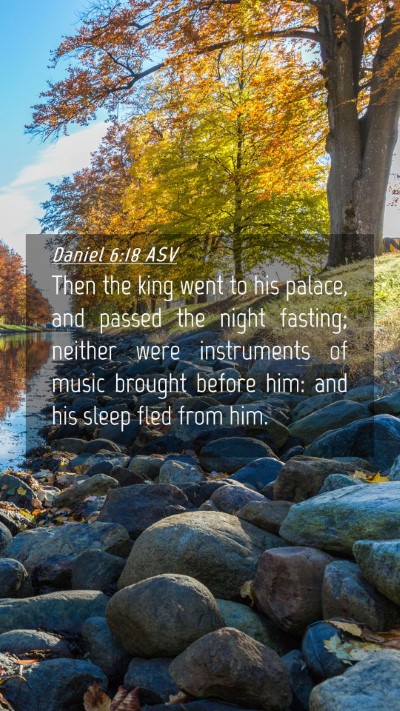 Picture 04 - Daniel 6:18 ASV Mobile Phone Wallpaper - Then the king went to his palace, and passed the - Mobile Bible Verse Wallpaper