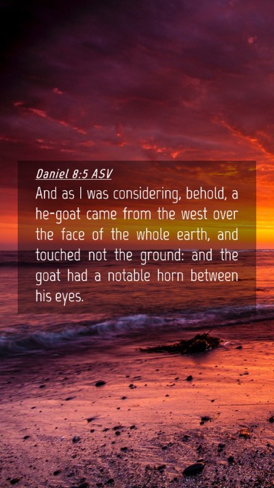 Picture 04 - Daniel 8:5 ASV Mobile Phone Wallpaper - And as I was considering, behold, a he-goat came - Mobile Bible Verse Wallpaper