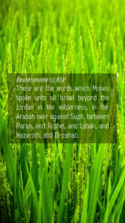 Picture 04 - Deuteronomy 1:1 ASV Mobile Phone Wallpaper - These are the words which Moses spake unto all - Mobile Bible Verse Wallpaper