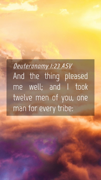 Picture 04 - Deuteronomy 1:23 ASV Mobile Phone Wallpaper - And the thing pleased me well; and I took twelve - Mobile Bible Verse Wallpaper