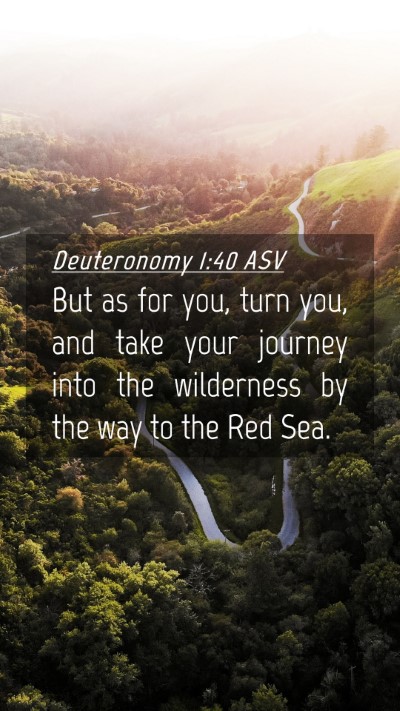 Picture 04 - Deuteronomy 1:40 ASV Mobile Phone Wallpaper - But as for you, turn you, and take your journey - Mobile Bible Verse Wallpaper