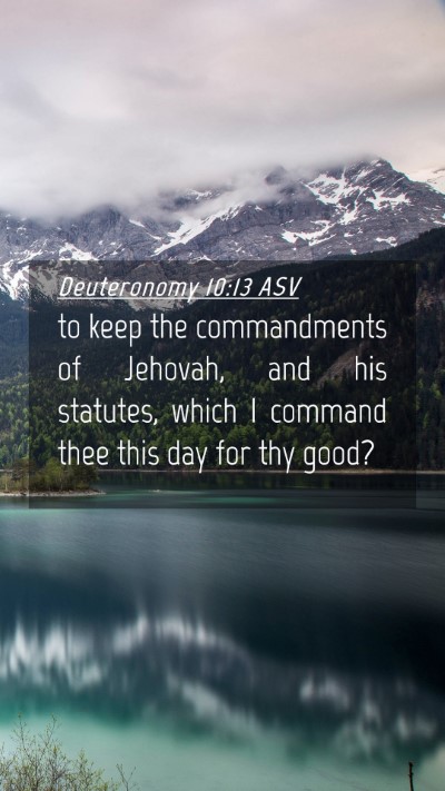 Picture 04 - Deuteronomy 10:13 ASV Mobile Phone Wallpaper - to keep the commandments of Jehovah, and his - Mobile Bible Verse Wallpaper