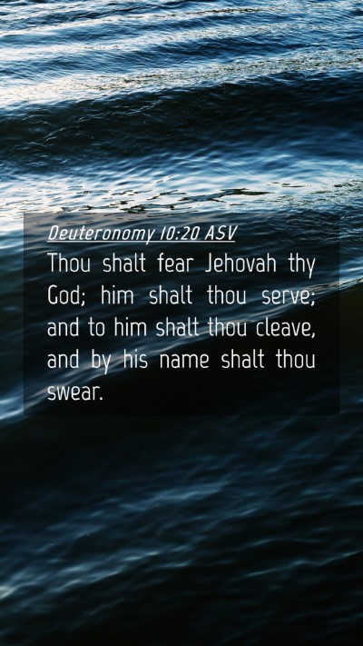 Picture 04 - Deuteronomy 10:20 ASV Mobile Phone Wallpaper - Thou shalt fear Jehovah thy God; him shalt thou - Mobile Bible Verse Wallpaper