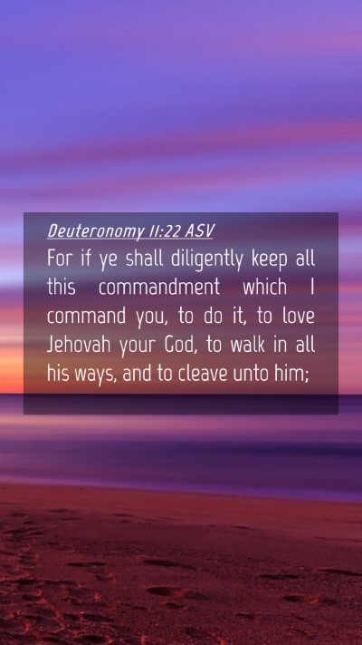 Picture 04 - Deuteronomy 11:22 ASV Mobile Phone Wallpaper - For if ye shall diligently keep all this - Mobile Bible Verse Wallpaper