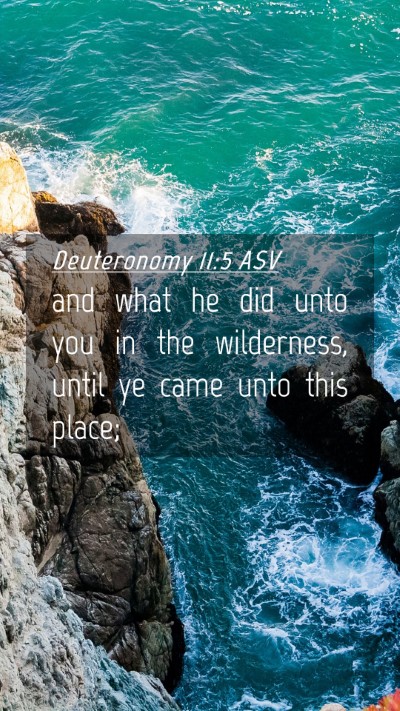Picture 04 - Deuteronomy 11:5 ASV Mobile Phone Wallpaper - and what he did unto you in the wilderness, until - Mobile Bible Verse Wallpaper