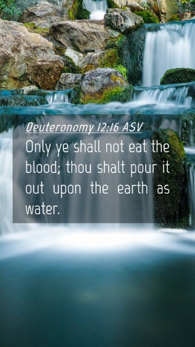 Picture 04 - Deuteronomy 12:16 ASV Mobile Phone Wallpaper - Only ye shall not eat the blood; thou shalt pour - Mobile Bible Verse Wallpaper