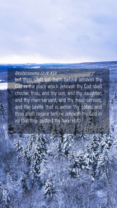 Picture 04 - Deuteronomy 12:18 ASV Mobile Phone Wallpaper - but thou shalt eat them before Jehovah thy God in - Mobile Bible Verse Wallpaper