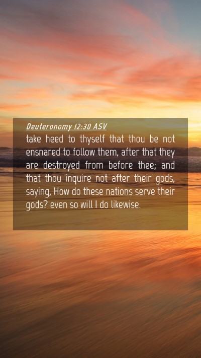 Picture 04 - Deuteronomy 12:30 ASV Mobile Phone Wallpaper - take heed to thyself that thou be not ensnared to - Mobile Bible Verse Wallpaper
