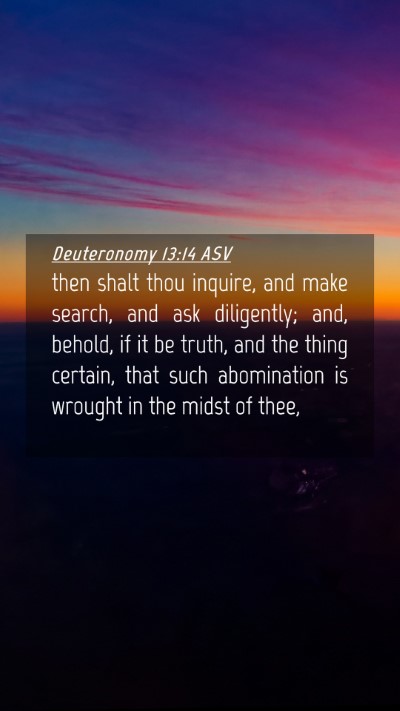 Picture 04 - Deuteronomy 13:14 ASV Mobile Phone Wallpaper - then shalt thou inquire, and make search, and ask - Mobile Bible Verse Wallpaper