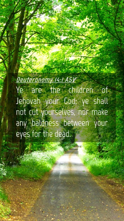 Picture 04 - Deuteronomy 14:1 ASV Mobile Phone Wallpaper - Ye are the children of Jehovah your God: ye shall - Mobile Bible Verse Wallpaper