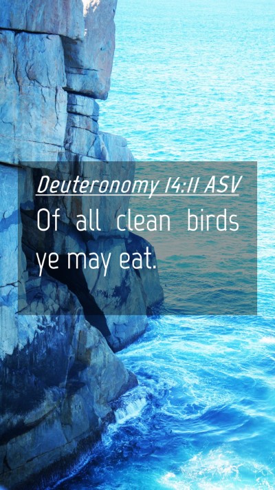 Picture 04 - Deuteronomy 14:11 ASV Mobile Phone Wallpaper - Of all clean birds ye may - Mobile Bible Verse Wallpaper