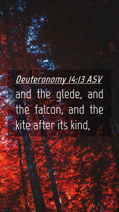 Picture 04 - Deuteronomy 14:13 ASV Mobile Phone Wallpaper - and the glede, and the falcon, and the kite after - Mobile Bible Verse Wallpaper