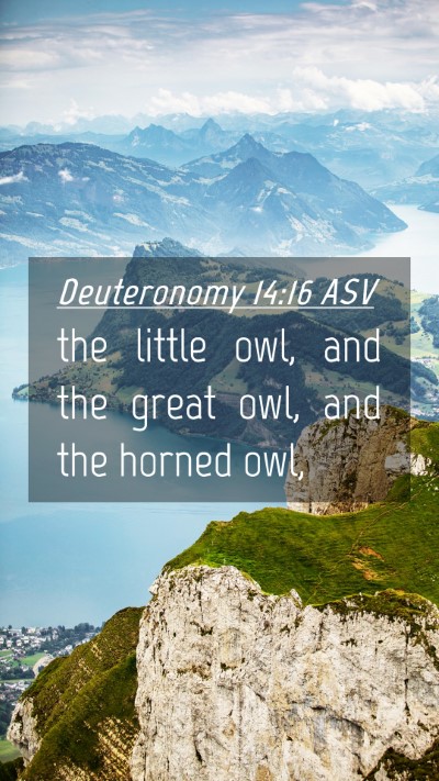 Picture 04 - Deuteronomy 14:16 ASV Mobile Phone Wallpaper - the little owl, and the great owl, and the horned - Mobile Bible Verse Wallpaper