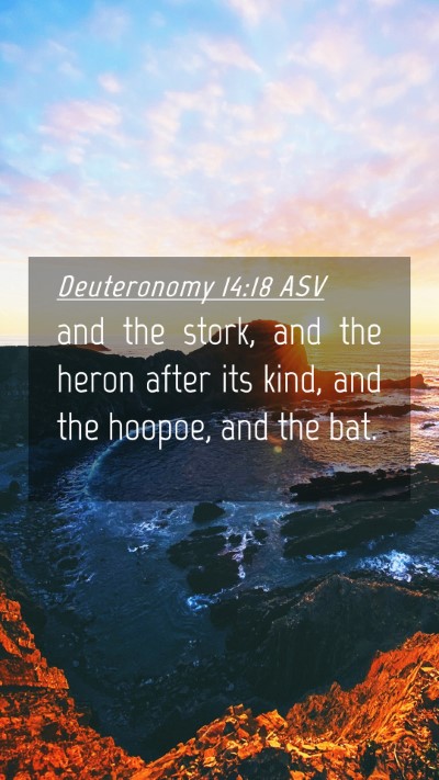 Picture 04 - Deuteronomy 14:18 ASV Mobile Phone Wallpaper - and the stork, and the heron after its kind, and - Mobile Bible Verse Wallpaper