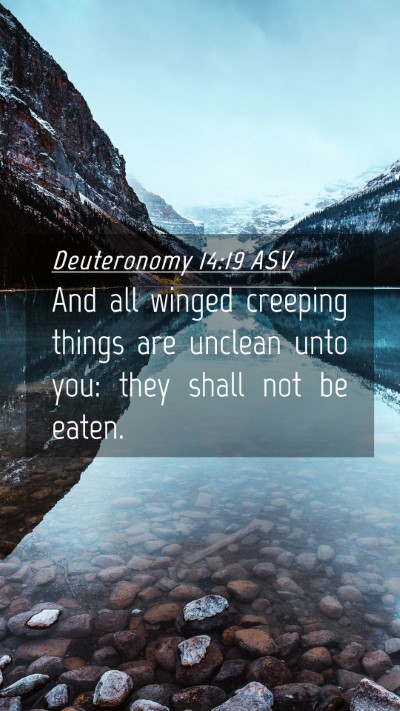 Picture 04 - Deuteronomy 14:19 ASV Mobile Phone Wallpaper - And all winged creeping things are unclean unto - Mobile Bible Verse Wallpaper