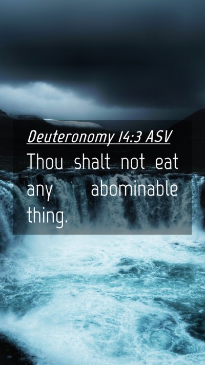 Picture 04 - Deuteronomy 14:3 ASV Mobile Phone Wallpaper - Thou shalt not eat any abominable - Mobile Bible Verse Wallpaper