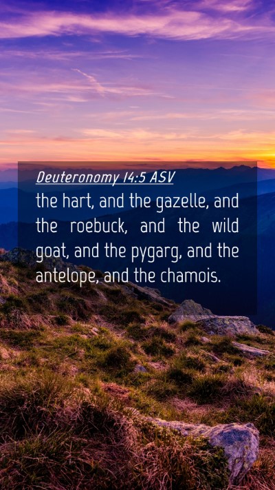 Picture 04 - Deuteronomy 14:5 ASV Mobile Phone Wallpaper - the hart, and the gazelle, and the roebuck, and - Mobile Bible Verse Wallpaper