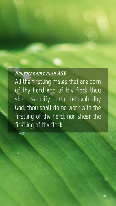 Picture 04 - Deuteronomy 15:19 ASV Mobile Phone Wallpaper - All the firstling males that are born of thy herd - Mobile Bible Verse Wallpaper