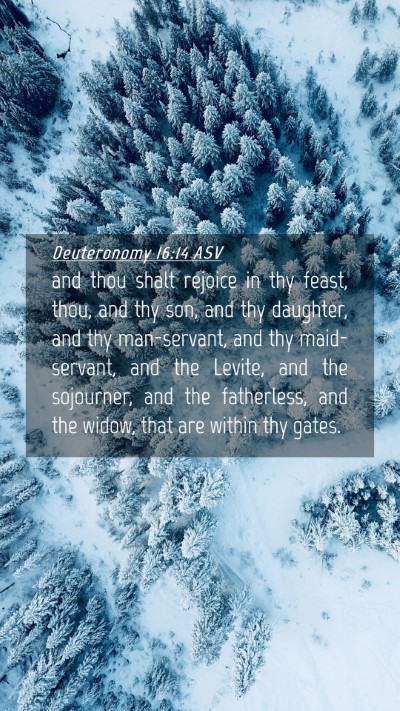 Picture 04 - Deuteronomy 16:14 ASV Mobile Phone Wallpaper - and thou shalt rejoice in thy feast, thou, and - Mobile Bible Verse Wallpaper