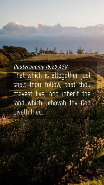 Picture 04 - Deuteronomy 16:20 ASV Mobile Phone Wallpaper - That which is altogether just shalt thou follow, - Mobile Bible Verse Wallpaper