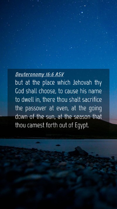 Picture 04 - Deuteronomy 16:6 ASV Mobile Phone Wallpaper - but at the place which Jehovah thy God shall - Mobile Bible Verse Wallpaper
