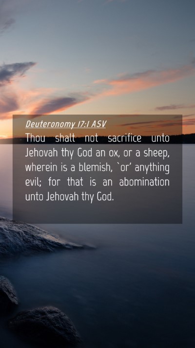 Picture 04 - Deuteronomy 17:1 ASV Mobile Phone Wallpaper - Thou shalt not sacrifice unto Jehovah thy God an - Mobile Bible Verse Wallpaper