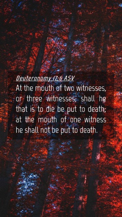 Picture 04 - Deuteronomy 17:6 ASV Mobile Phone Wallpaper - At the mouth of two witnesses, or three - Mobile Bible Verse Wallpaper