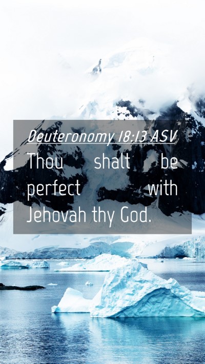 Picture 04 - Deuteronomy 18:13 ASV Mobile Phone Wallpaper - Thou shalt be perfect with Jehovah thy - Mobile Bible Verse Wallpaper