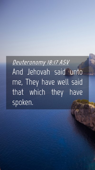 Picture 04 - Deuteronomy 18:17 ASV Mobile Phone Wallpaper - And Jehovah said unto me, They have well said - Mobile Bible Verse Wallpaper