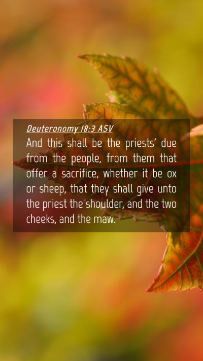 Picture 04 - Deuteronomy 18:3 ASV Mobile Phone Wallpaper - And this shall be the priests' due from the - Mobile Bible Verse Wallpaper