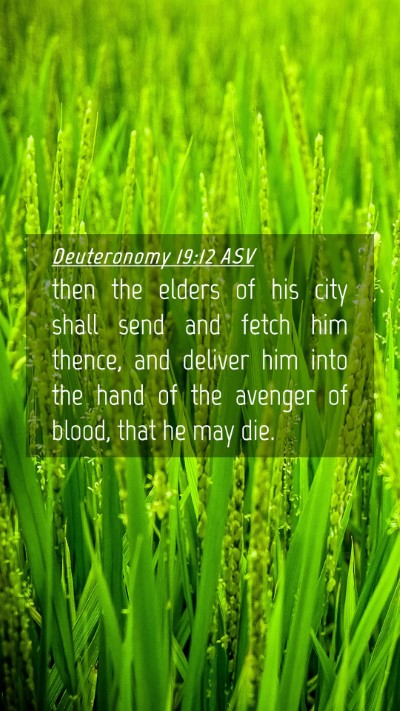 Picture 04 - Deuteronomy 19:12 ASV Mobile Phone Wallpaper - then the elders of his city shall send and fetch - Mobile Bible Verse Wallpaper