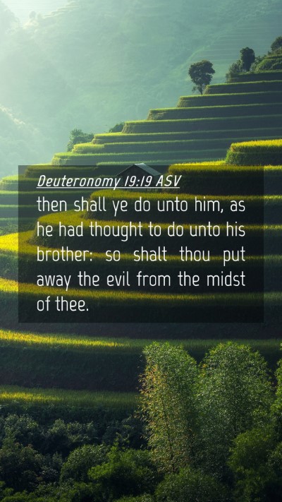 Picture 04 - Deuteronomy 19:19 ASV Mobile Phone Wallpaper - then shall ye do unto him, as he had thought to - Mobile Bible Verse Wallpaper