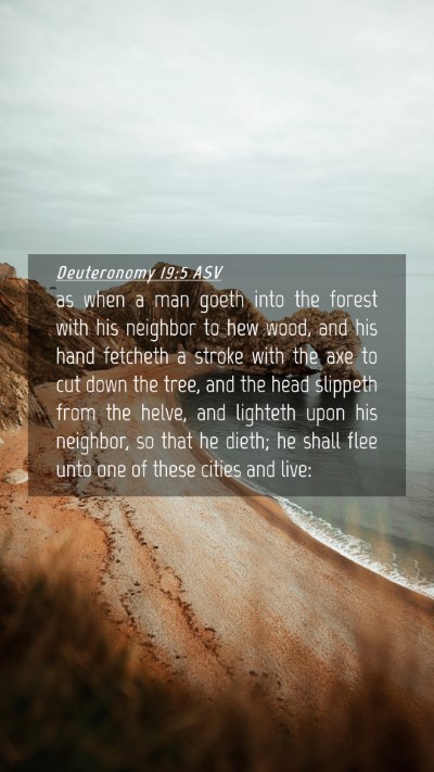 Picture 04 - Deuteronomy 19:5 ASV Mobile Phone Wallpaper - as when a man goeth into the forest with his - Mobile Bible Verse Wallpaper