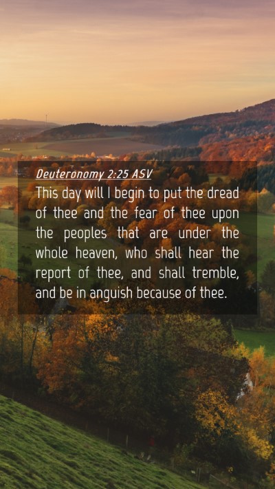 Picture 04 - Deuteronomy 2:25 ASV Mobile Phone Wallpaper - This day will I begin to put the dread of thee - Mobile Bible Verse Wallpaper