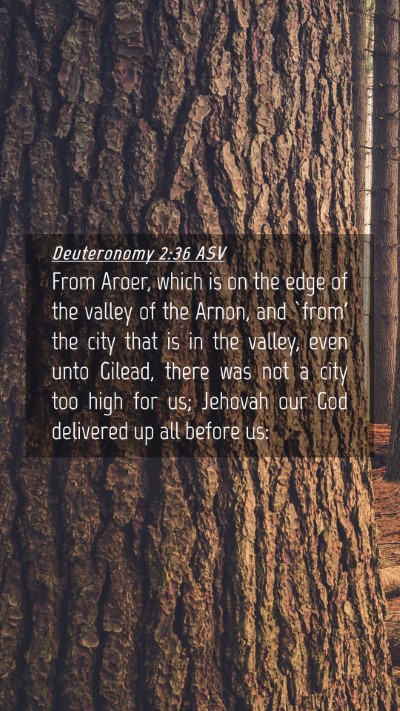 Picture 04 - Deuteronomy 2:36 ASV Mobile Phone Wallpaper - From Aroer, which is on the edge of the valley of - Mobile Bible Verse Wallpaper