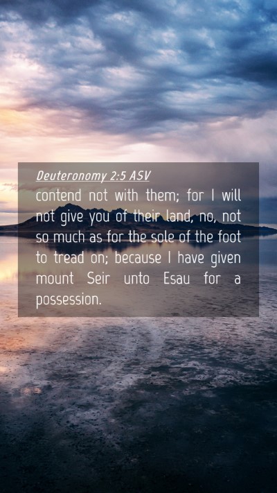 Picture 04 - Deuteronomy 2:5 ASV Mobile Phone Wallpaper - contend not with them; for I will not give you of - Mobile Bible Verse Wallpaper