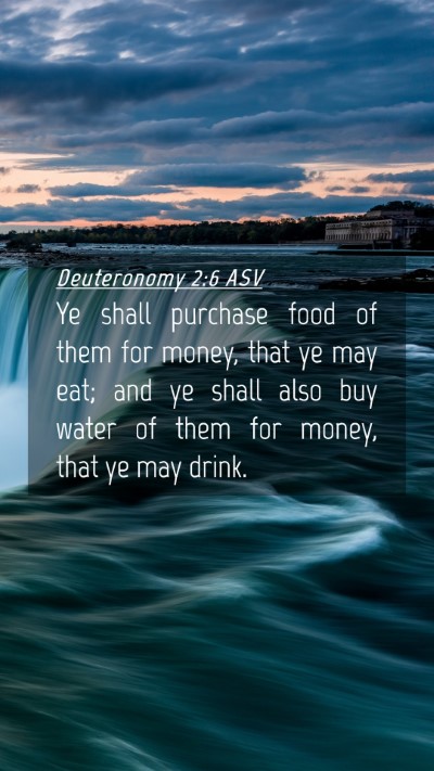Picture 04 - Deuteronomy 2:6 ASV Mobile Phone Wallpaper - Ye shall purchase food of them for money, that ye - Mobile Bible Verse Wallpaper