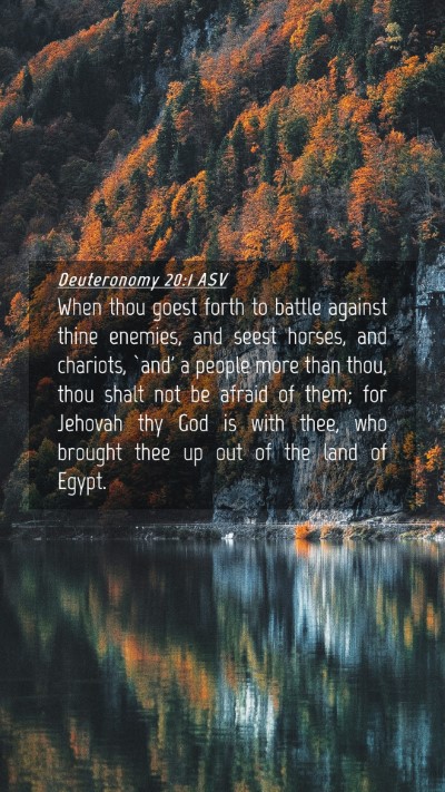 Picture 04 - Deuteronomy 20:1 ASV Mobile Phone Wallpaper - When thou goest forth to battle against thine - Mobile Bible Verse Wallpaper