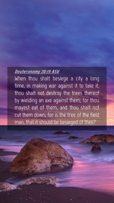 Picture 04 - Deuteronomy 20:19 ASV Mobile Phone Wallpaper - When thou shalt besiege a city a long time, in - Mobile Bible Verse Wallpaper